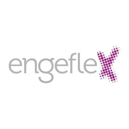 logo engeflex
